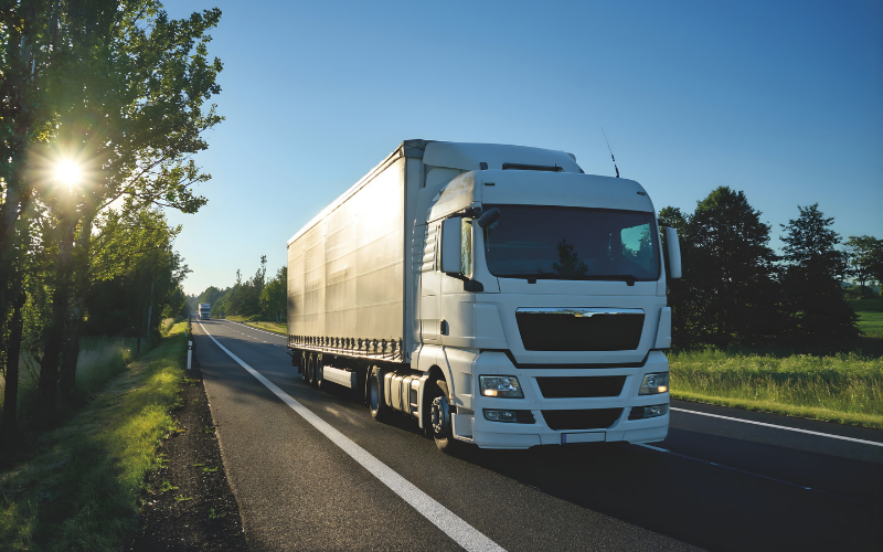 Lona para camión color blanca